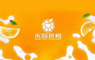 某良橙——铜川LOGO设计